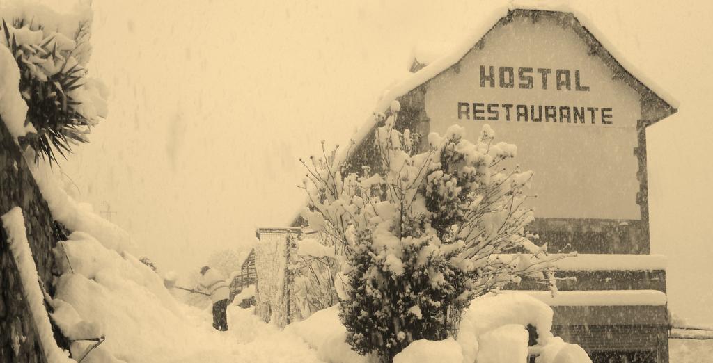 Hostal Panart بييلسا المظهر الخارجي الصورة